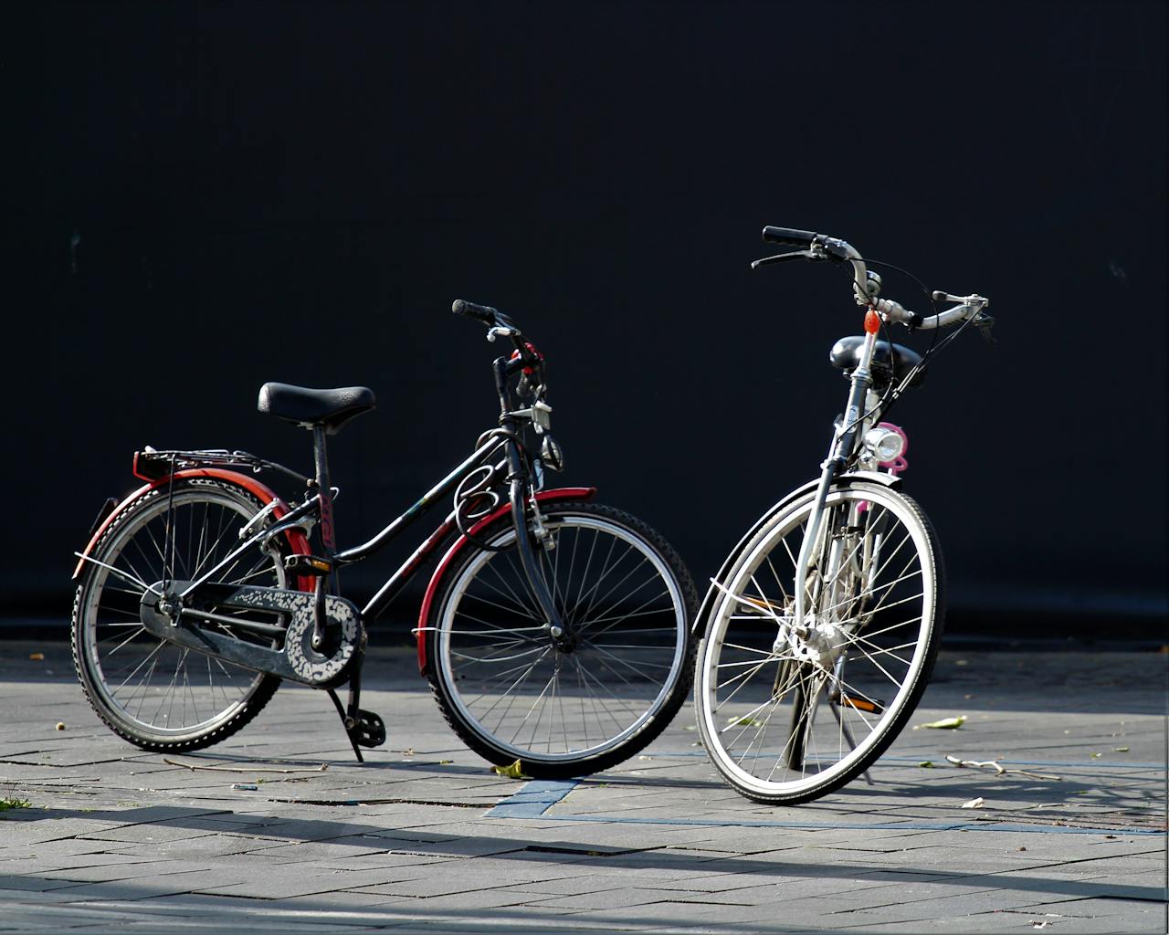 Two bicycles parked on pavement under daylight, representing Dutch culture.